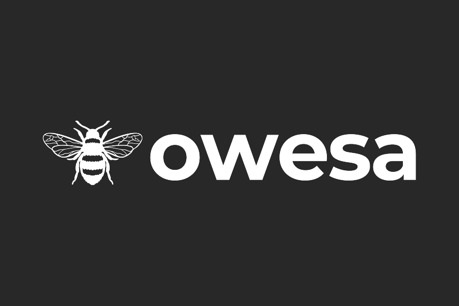 Thumbnail image of the Owesa website, a professional platform with content feeds, interest groups, messaging, and job postings.